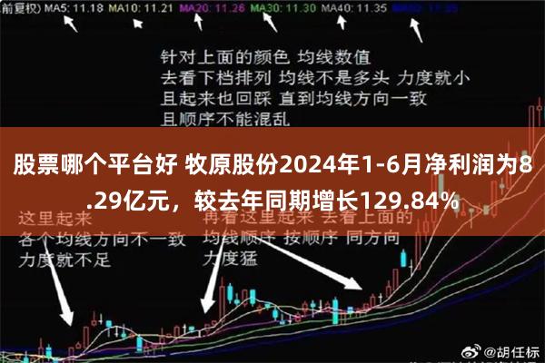 股票哪个平台好 牧原股份2024年1-6月净利润为8.29亿元，较去年同期增长129.84%