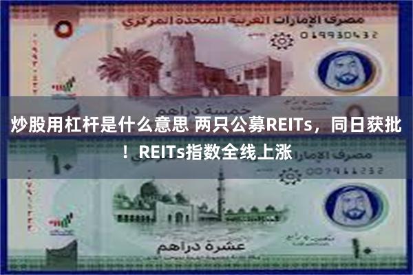 炒股用杠杆是什么意思 两只公募REITs，同日获批！REITs指数全线上涨