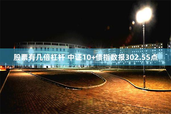 股票有几倍杠杆 中证10+债指数报302.55点