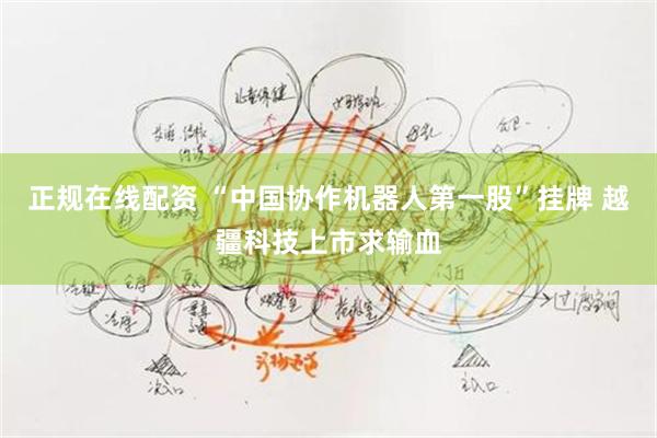 正规在线配资 “中国协作机器人第一股”挂牌 越疆科技上市求输血