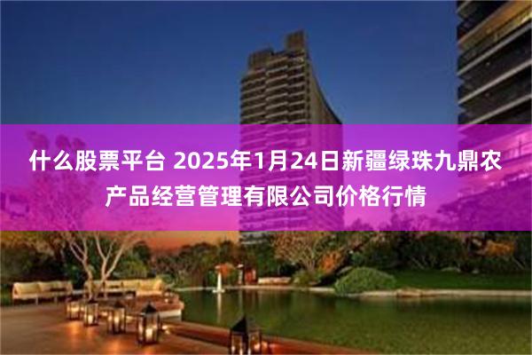 什么股票平台 2025年1月24日新疆绿珠九鼎农产品经营管理有限公司价格行情