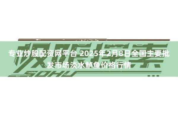 专业炒股配资网平台 2025年2月8日全国主要批发市场淡水鲈鱼价格行情