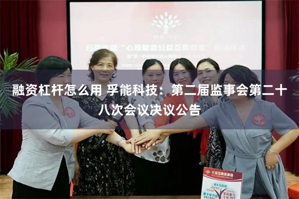 融资杠杆怎么用 孚能科技：第二届监事会第二十八次会议决议公告